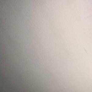 Meet your Posher, Dylan